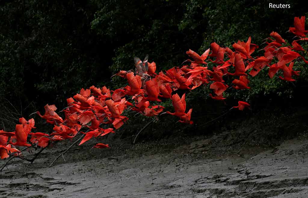 Reuters