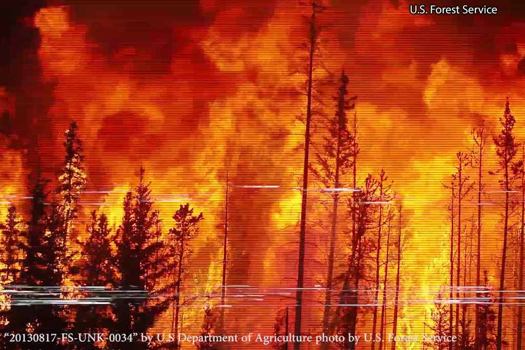 US Forest Service