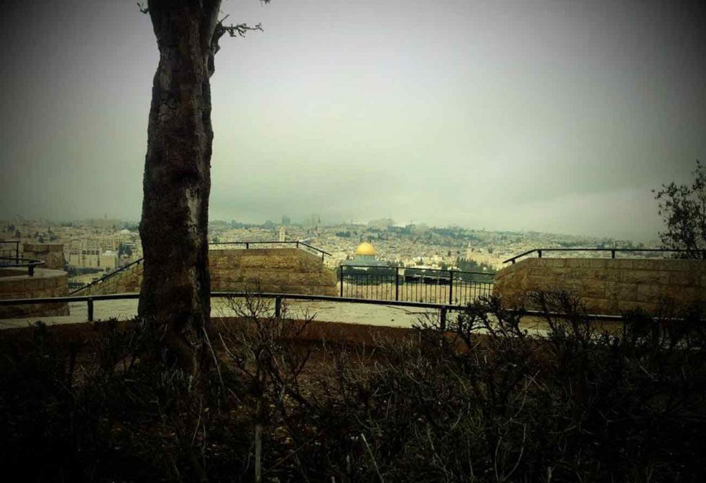 tishabeav