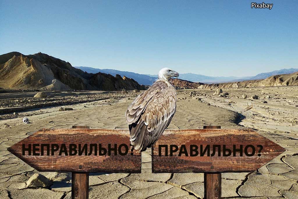 Pixabay решение