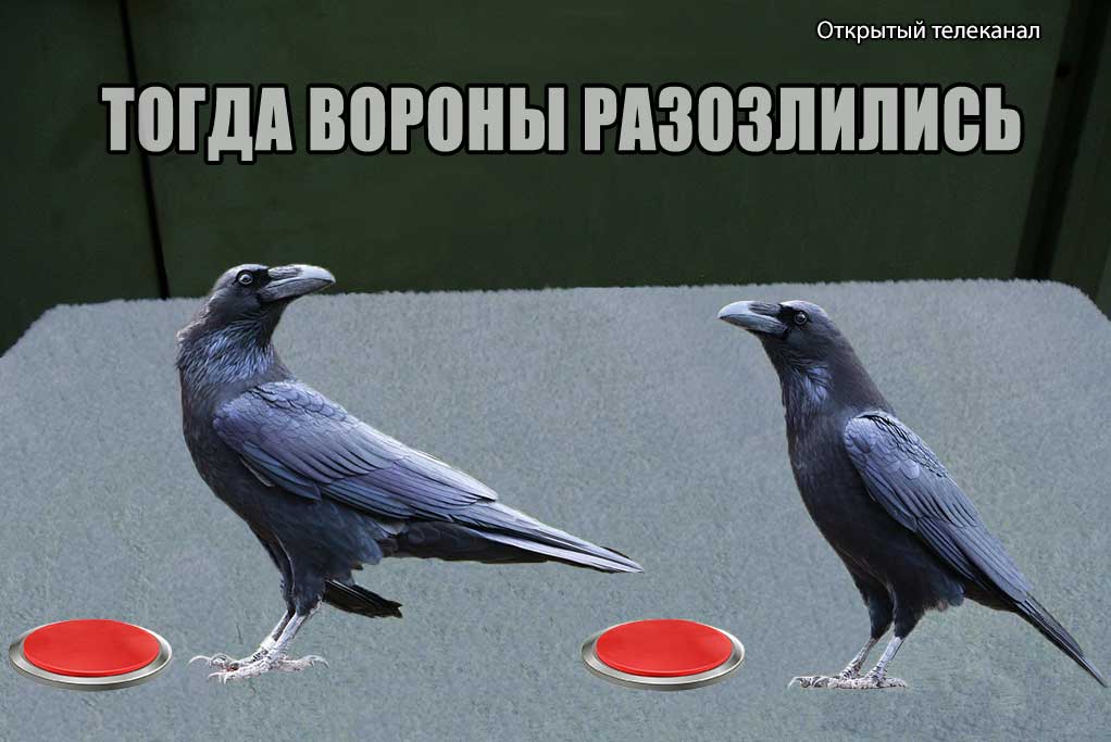 Открытый телеканал эксперимент