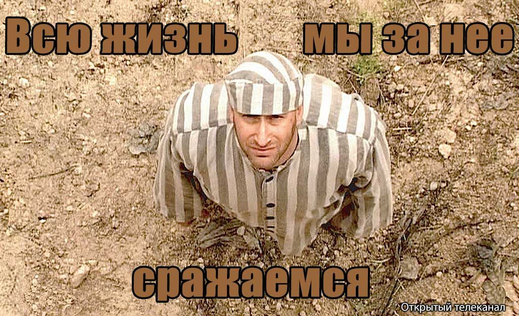 Открытый телеканал свобода