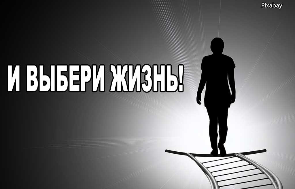 Pixabay жизнь и смерть