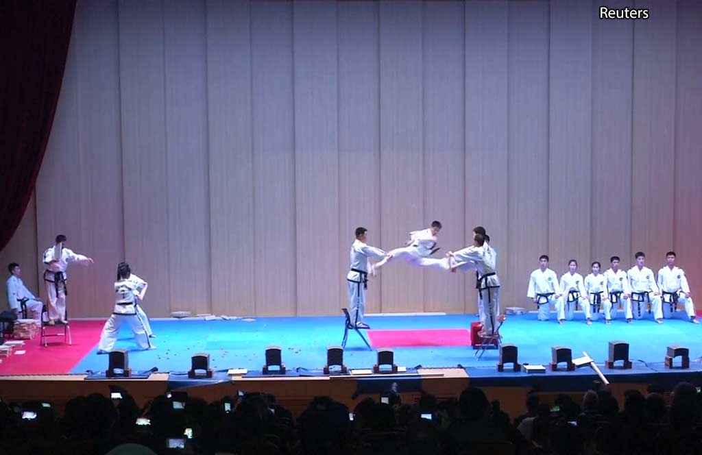 Совместное выступление мастеров тхэквондо из Северной и