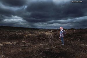 Приоритет